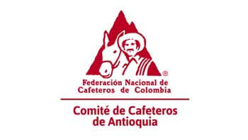 Comité Directivo de la FNC hace urgente llamado al Gobierno nacional y a la industria global por la caída del precio del café