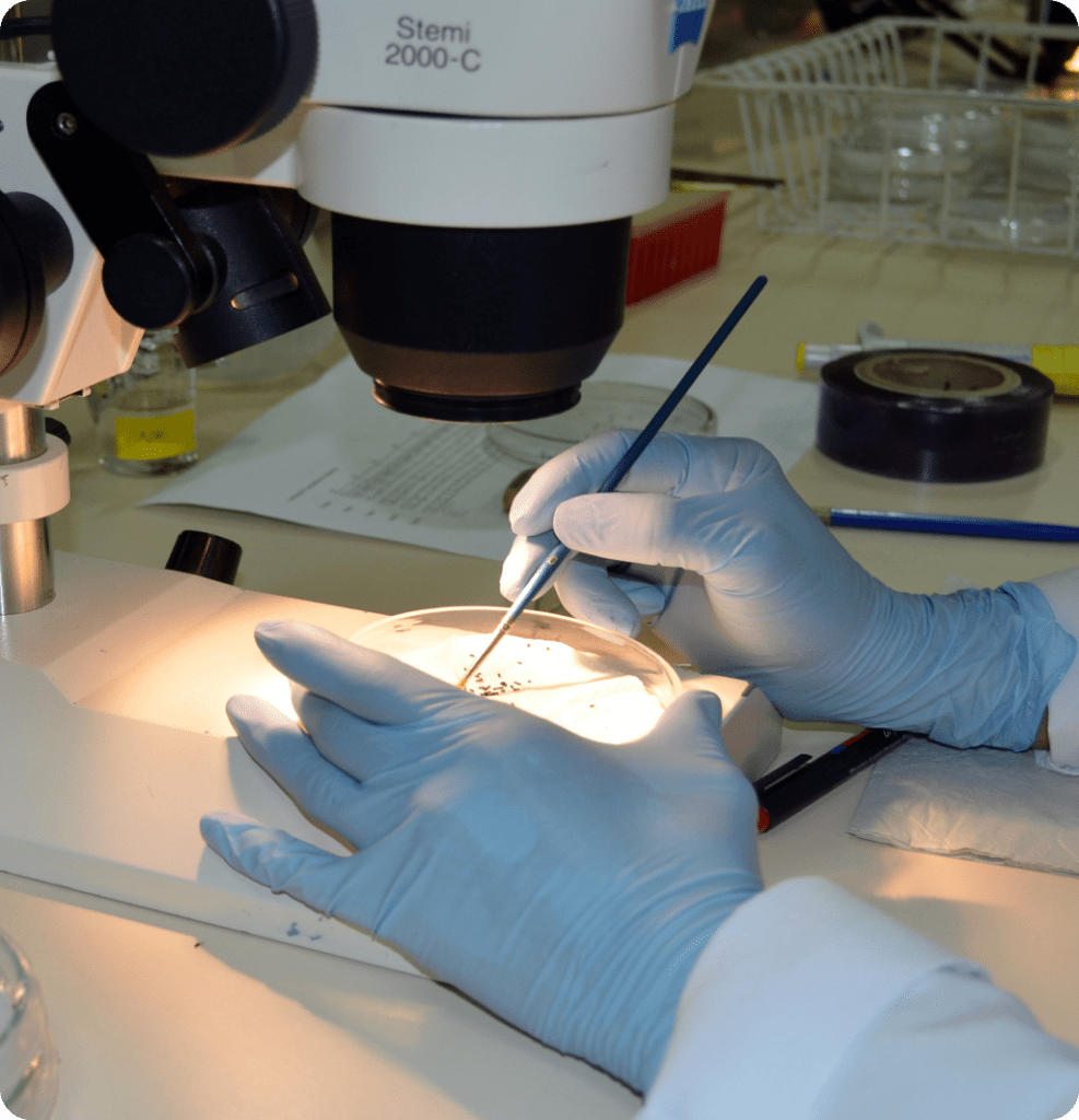 investigación científica y desarrollo tecnológico del café